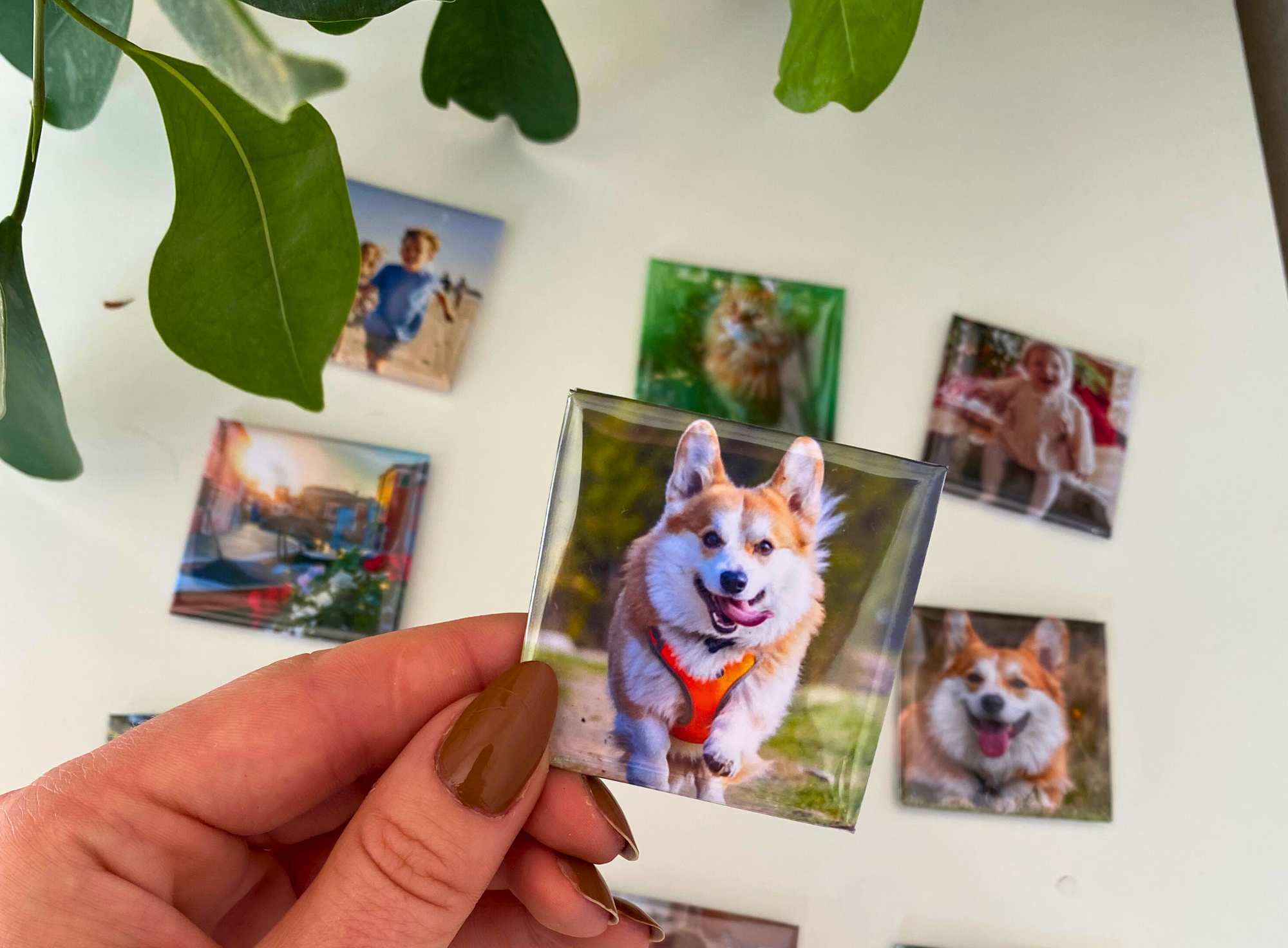 Set van 9 fotomagneten